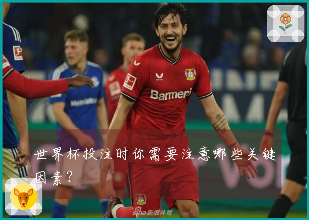 世界杯投注时你需要注意哪些关键因素？