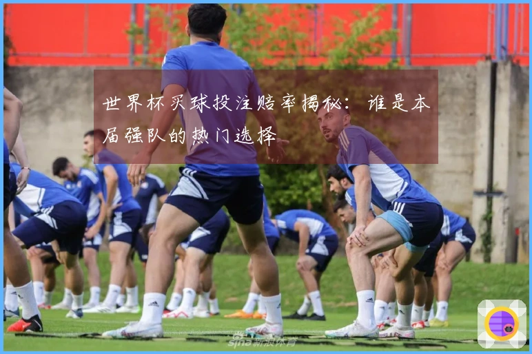 世界杯买球投注赔率揭秘：谁是本届强队的热门选择