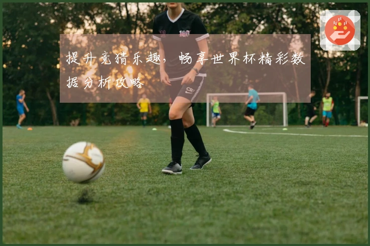 提升竞猜乐趣，畅享世界杯精彩数据分析攻略
