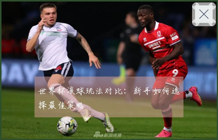 世界杯滚球玩法对比：新手如何选择最佳策略